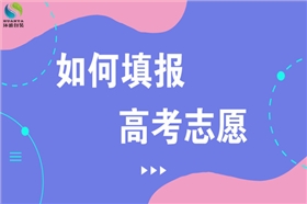 环保袋厂家教你高考志愿填报方法1