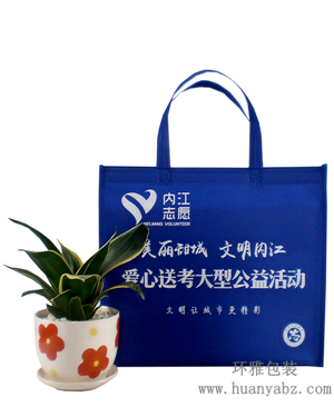 厂家定做内江环保袋 广告宣传袋 无纺布手提袋 广告宣传效果持久